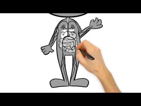Video: Hvor findes saccharose i menneskekroppen?