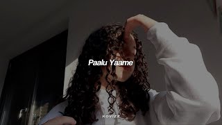 Video thumbnail of "Paalu Yaame (slowed+reverb)"