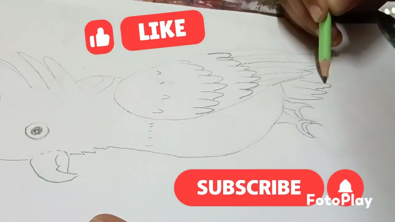 Easy creative Free hand pencil Bird drawing 