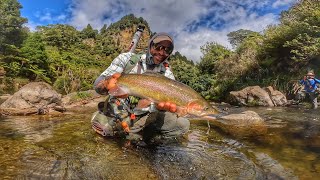 BIG RAINBOW TROUT from EPIC River in the WILDERNESS by Trippin On Trout 12,535 views 1 year ago 28 minutes
