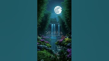 تلاوة مباركة بصوت عذب تهدأ لها القلوب وتطمئن النفوس، شارك الأجر بنشر الفيديو #قرآن #تلاوة