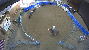 Big Sky Ranch Sorting Saddle Series #4 - #7 SORT - Round #1 - Ride #47