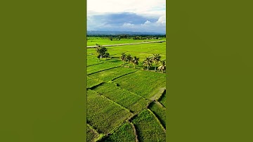 Staircase farm in roxas isabela. #trending #philippinetravelguide #farm #farming #philippines