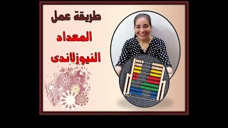 المعداد النيوزلاندي