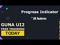 Guna UI2 Progress Indicator Control