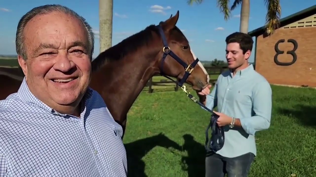 Ep. 005 - Haras Prata