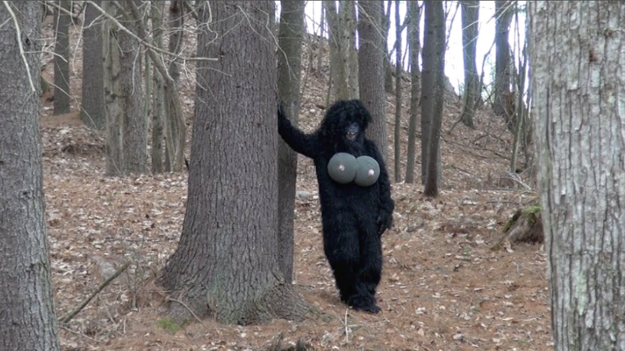 REAL NAKED FEMALE BIGFOOT CAUGHT ON TAPE - YouTube.