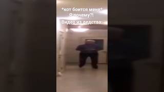 мем#видео из дедства#