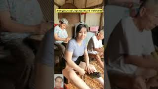Kegiatan rutin mengupas jagung#shorts#feesshorts
