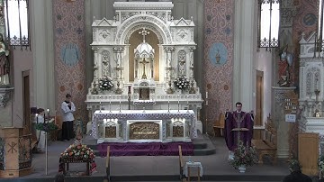 2º Sunday of Advent - 4 December 2022  8:00 AM