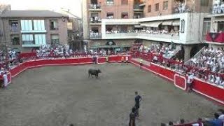 Villafranca, Navarra: Un Encanto Rural en la Ribera Navarra