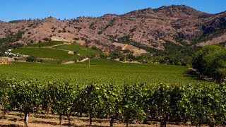 7 Fun Things To Do In The Napa Valley