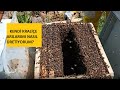 Ana ar retim servenim batan sona kralie retimi part1 aricilik arclk beekeeping api