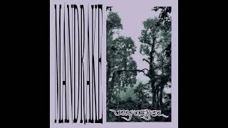 Vayuljel - Mandrake