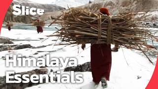 Young Monks On A Dangerous Journey For Firewood In The Himalayas | SLICE | FULL DOCUMENTARY