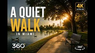 🌿 A Quiet Walk in Miami | 360° Life screenshot 1