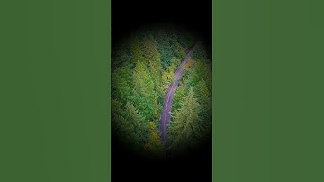 Dấu hiệu bệnh cườm nước #shorts