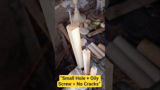 “Small Hole + Oily Screw = No Cracks” #screw #diy #woodworking #shorts