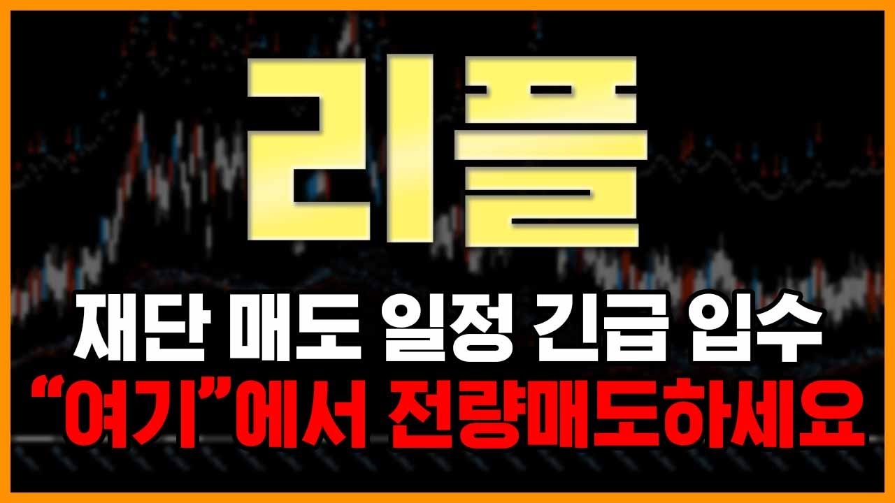 🔥리플🔥 재단 매도 일정 긴급 입수 ㅣ 