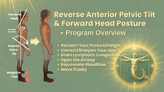 How to Reverse Anterior Pelvic Tilt & Forward Head Posture Program Overview