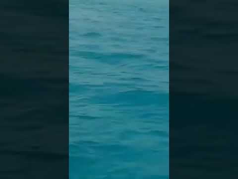 الصفات المنفية عن رب العزة سبحانه وتعالى