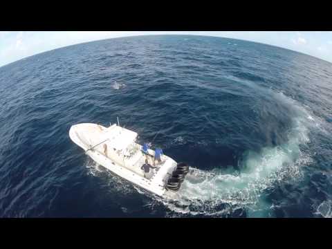 Episode 9: Dr. Prada from Laser Spine Institute in Miami, FL - Sailfish