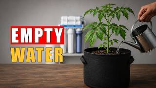 Why You Shouldnt Water Plants With RO Water?