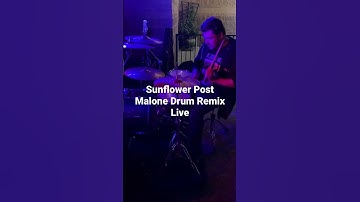 Thumbnail of Post Malone Sunflower Drum Remix Live