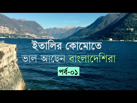 ভিডিও: কীভাবে একটি স্যাডেল চয়ন করবেন