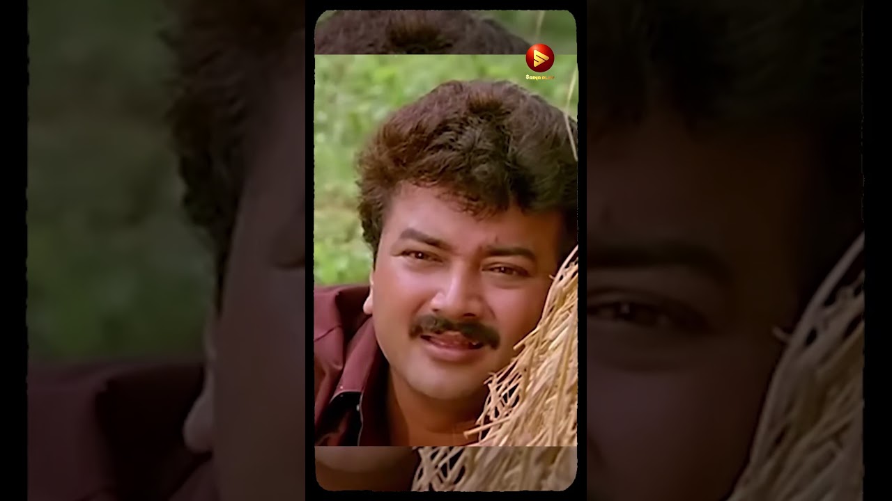 👆പേടിക്കാനൊന്നുമില്ല, അവൻ ഒരു കുഴപ്പക്കാരനല്ല😂🤣 #meleparambilanveedu #shorts #jayaram #jagathicomedy