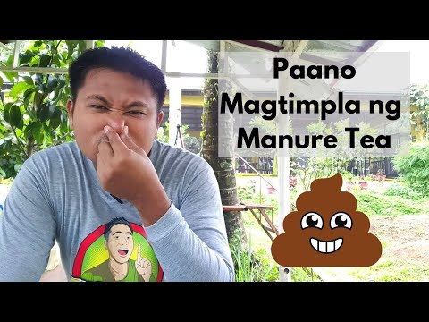 Video: Manure Tea Para sa Hardin: Paano Gumawa ng Manure Tea
