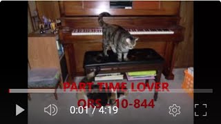 PART TIME LOVER