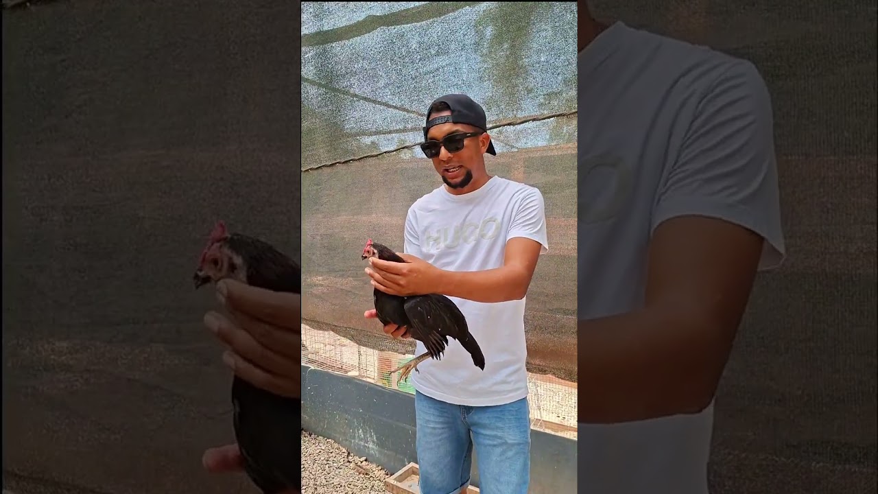 CONOCIENDO LAS INSTALACIONES DE LA HACIENDA ALAIA Y MELANIA EN PERÚ 🇵🇪