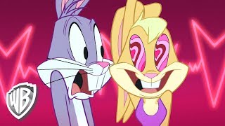 Looney Tunes En Français Nous Sommes Amoureux Avec Bugs Bunny Et Lola Wb Kids