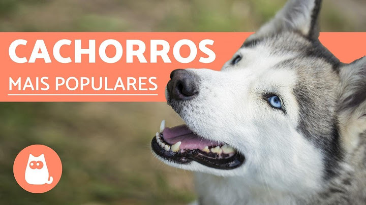 Top 10 RAÇAS DE CACHORROS MAIS POPULARES DO MUNDO