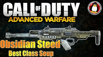 Bal27 Obsidian Steed Best Class Setup  -  Advanced Warfare (COD AW)