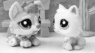 LPS - MV Lauren Aquilina-king