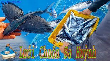 Nghề LƯỚI CÁ CHUỒN Sa Huỳnh 1,Kỷ Thuật Bắt Loài Cá Biết Bay.