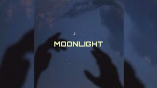 BLUME - Moonlight (Lyric Video)