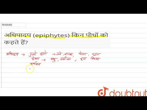 वीडियो: वृक्ष एपिफाइट्स: एपिफाइट पौधे की देखभाल और विकास के बारे में जानें