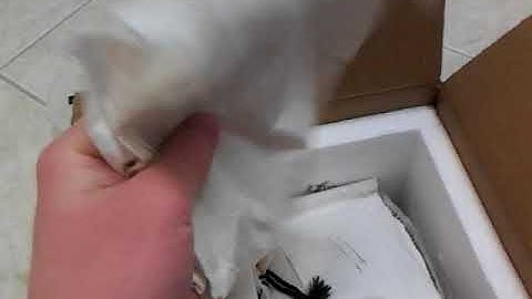 How Ball Pythons Are Shipped - Benjamin