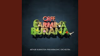 Carmina Burana (Cantiones Profanae) , Cour d'amours: XVIII. Circa mea pectora (Your beauty...