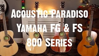 Acoustic Paradiso - Yamaha 800 Series Guitars