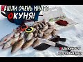 Нашли МНОГО ОКУНЯ! Зимняя рыбалка на Ладыжинском Водохранилище!