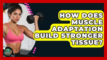 How Does Muscle Adaptation Build Stronger Tissue? - High Energy Training Hub
