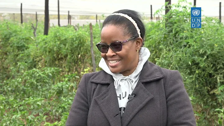 UNDP Supplier Development Programme, Agriculture Value Chains