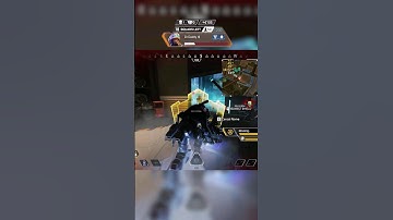 Newcastle + Gold Knockdown