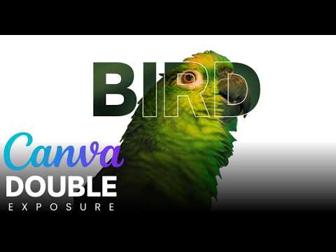 How to Create a Double Exposure Effect in Canva | Easy Step-by-Step Tutorial