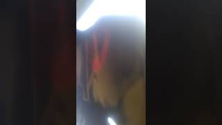 2007 Scion alternator removal