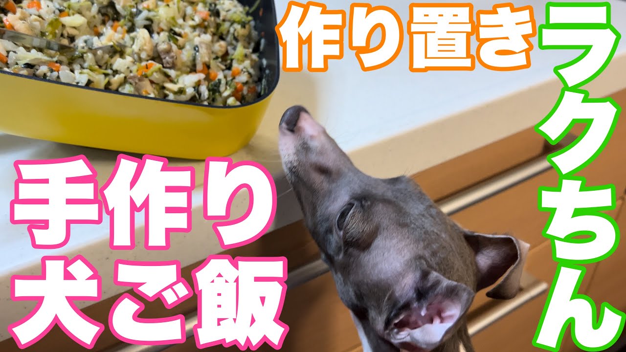 簡単 わんこが喜ぶ手作り犬ご飯レシピ Youtube